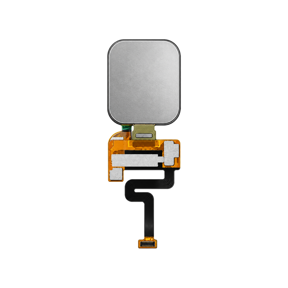 Miniature AMOLED Display Module