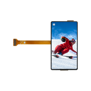 2.5 Inch High Brightness AMOLED Display