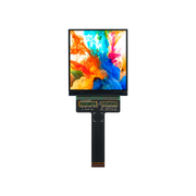 2.9 Inch MIPI AMOLED Display