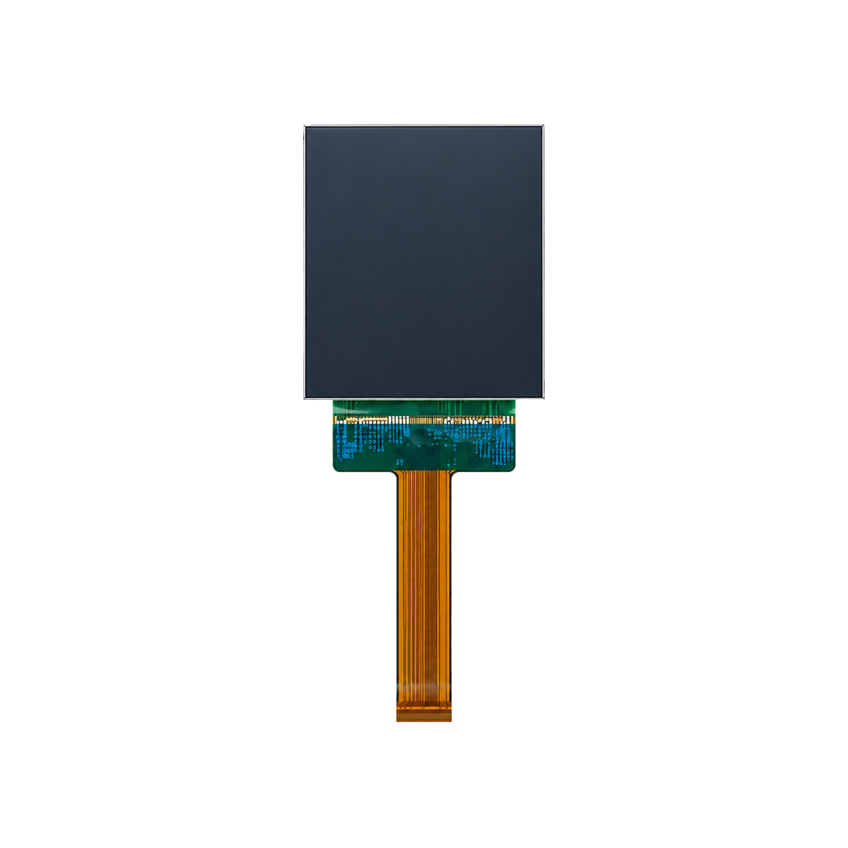 1080x1200 LTPS AMOLED Screen