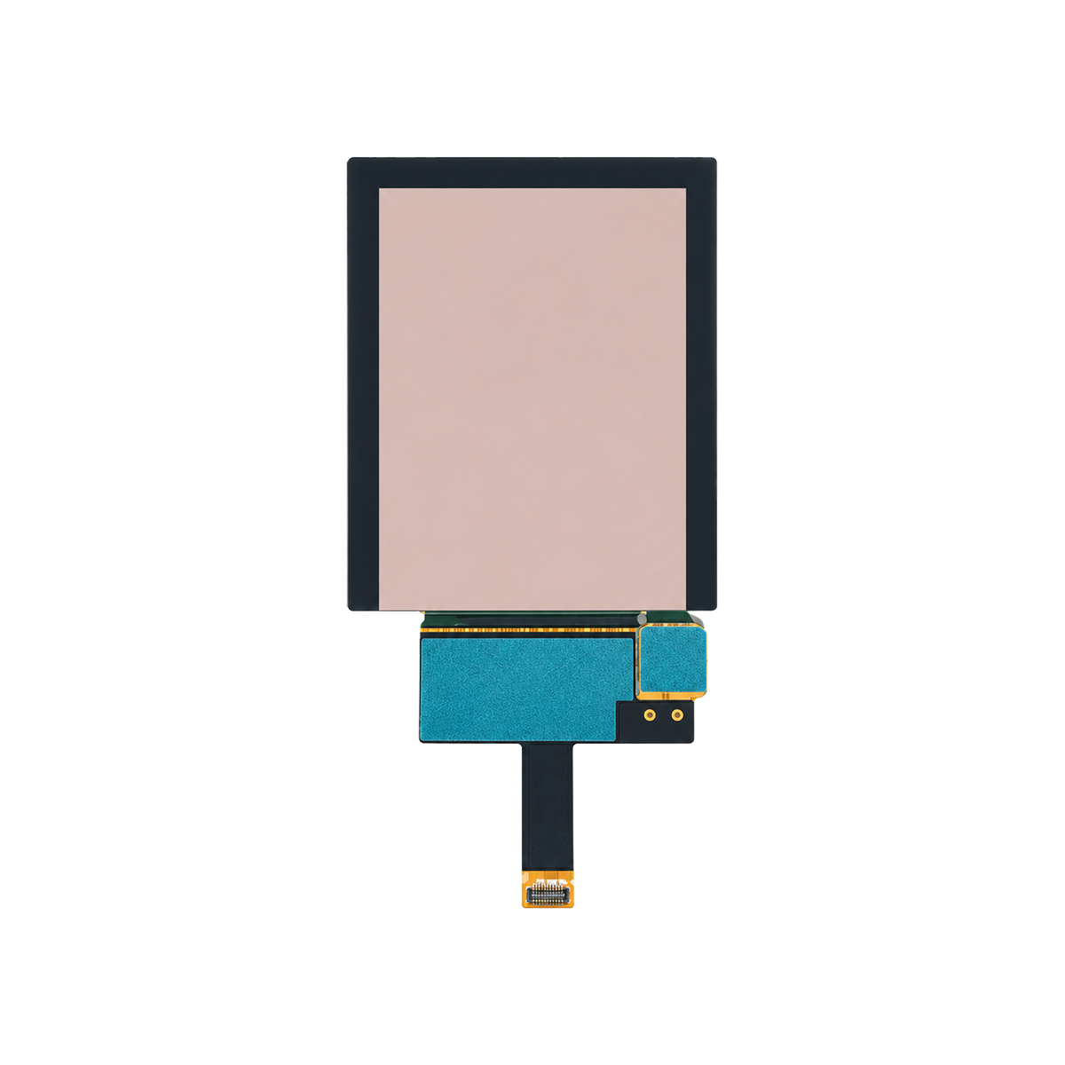 LTPS AMOLED Capacitive Touch Display